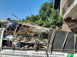 Best Moving and Downsizing Cleanouts  in Bronson, FL